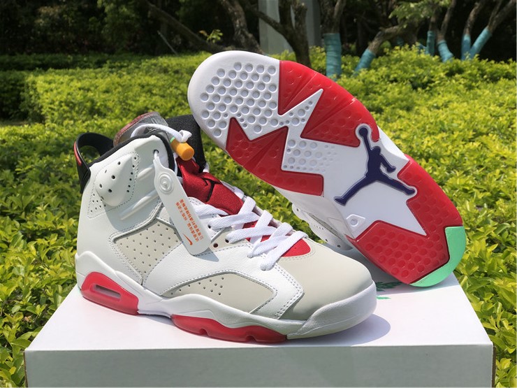 New Air jordan 6 hare lover shoes